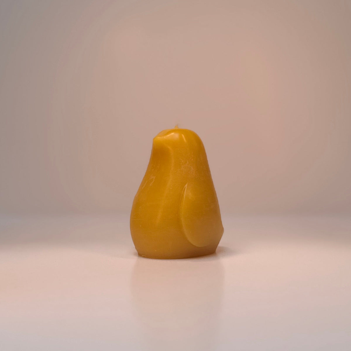 Vogel (Laag)