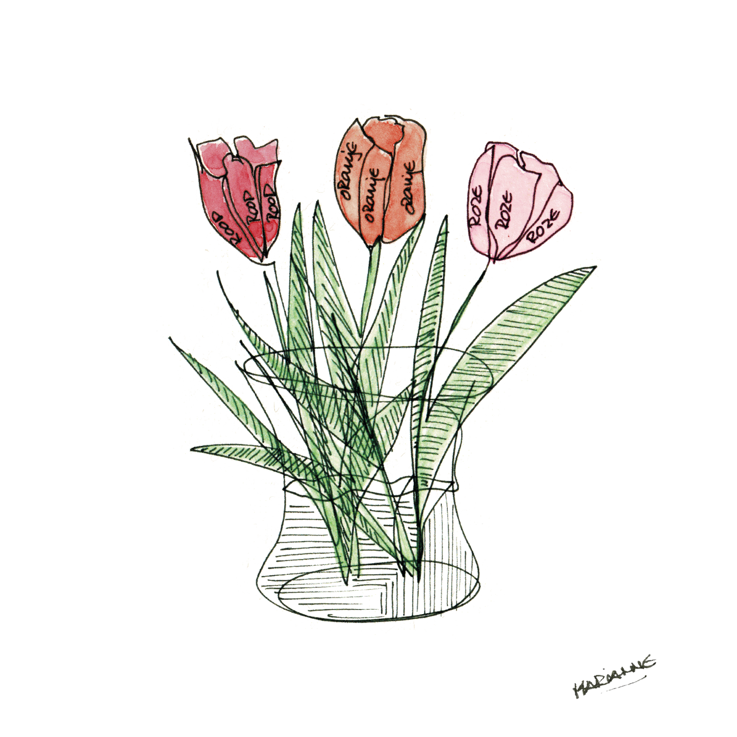 Tulpen