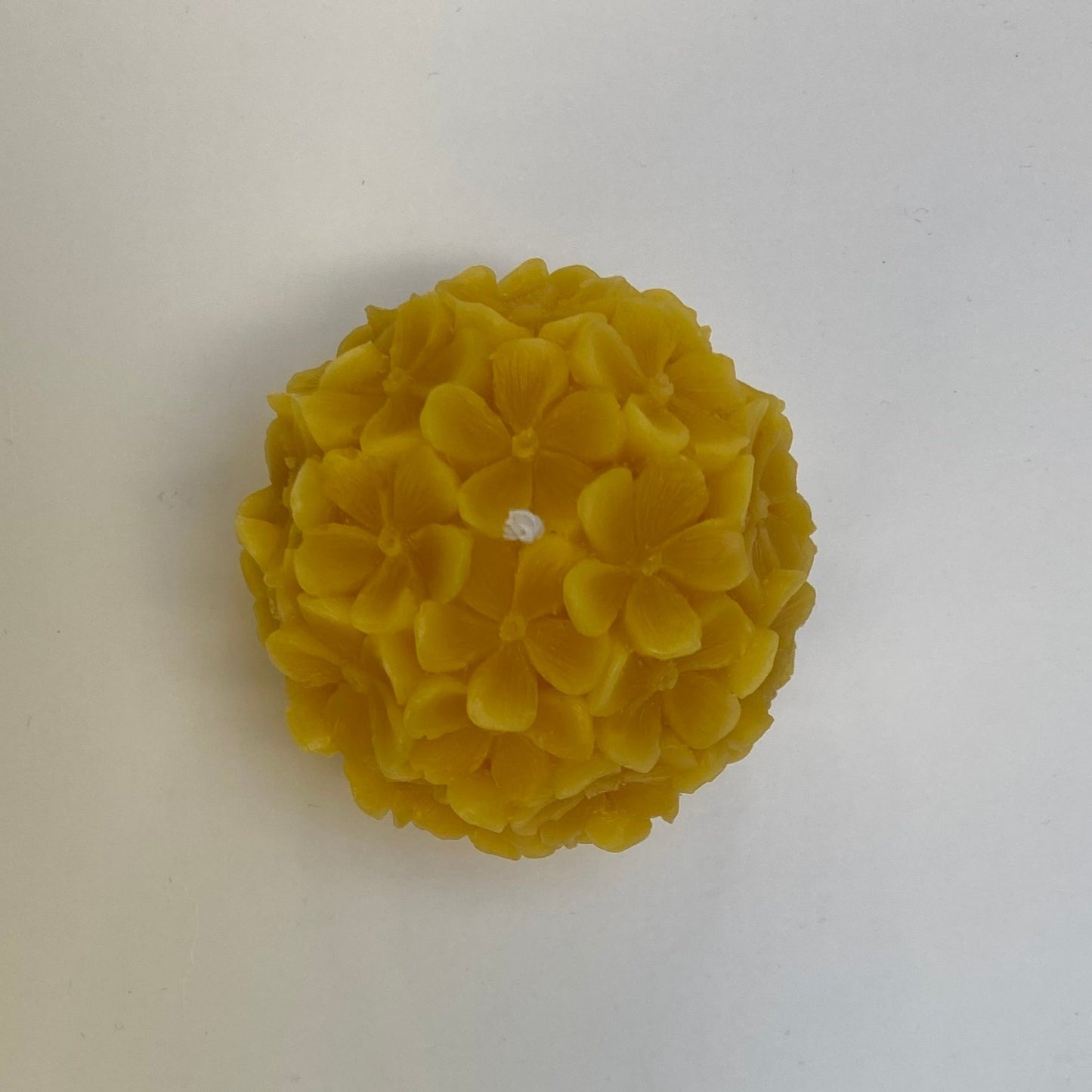 Periwinkle Bolkaars (Wilde Bosbloem)