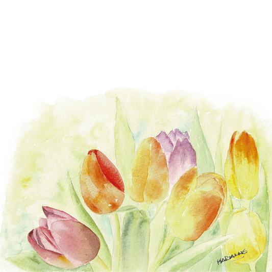 Tulpen aquarel